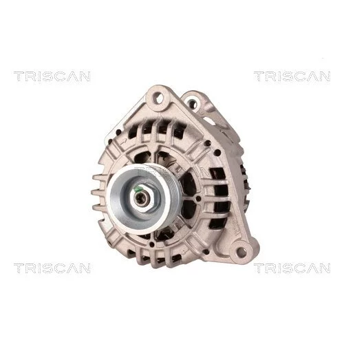 Alternátor 8310 68007 /TRISCAN/ - obr. 5