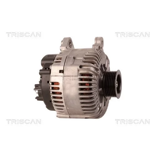 Alternátor 8310 68009 /TRISCAN/ - obr. 3