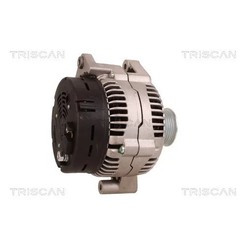 Alternátor 8310 69013 /TRISCAN/ - obr. 2