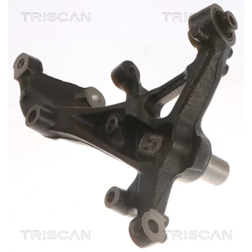 Čap nápravy zavesenia kolies 8500 29723 /TRISCAN/
