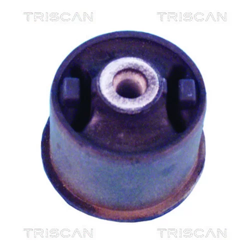 Uloženie tela nápravy TRISCAN 8500 29850