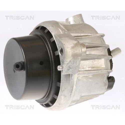 Uloženie motora 8505 11110 /TRISCAN/ - obr. 1