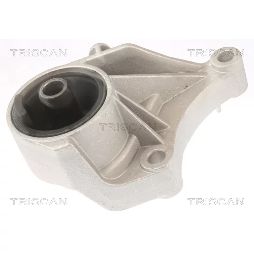 Uloženie motora 8505 24100 /TRISCAN/ - obr. 1