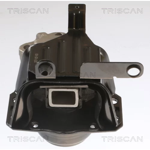 Uloženie motora 8505 28109 /TRISCAN/ - obr. 1