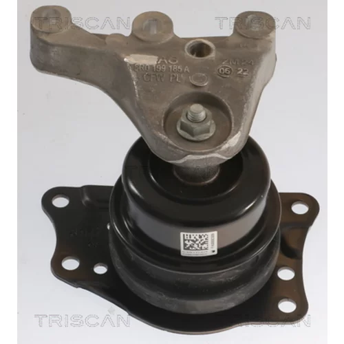 Uloženie motora 8505 29176 /TRISCAN/ - obr. 1