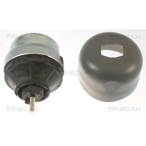 Uloženie motora 8505 29177 /TRISCAN/ - obr. 1