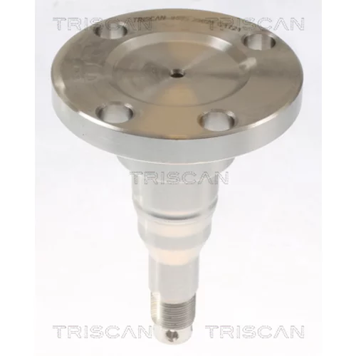 Náboj kolesa 8535 29021 /TRISCAN/ - obr. 1