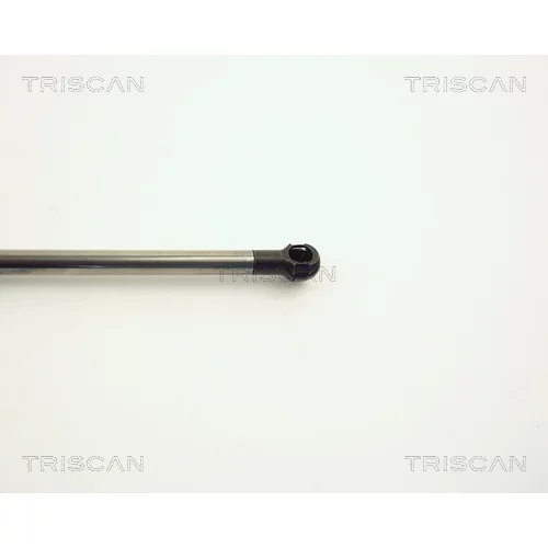 Pneumatická pružina, Batožinový/nákladný priestor 8710 11209 /TRISCAN/ - obr. 2