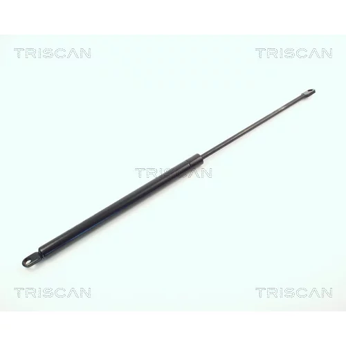 Pneumatická pružina, Batožinový/nákladný priestor TRISCAN 8710 11210