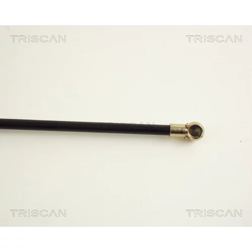 Pneumatická pružina, Batožinový/nákladný priestor 8710 16202 /TRISCAN/ - obr. 2