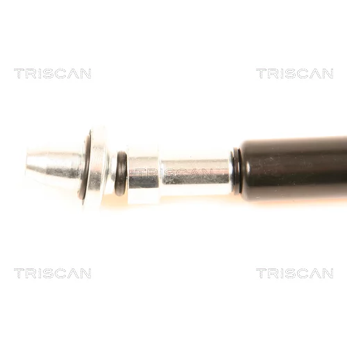 Plynová vzpera pre zadné sklo 8710 38217 /TRISCAN/ - obr. 1