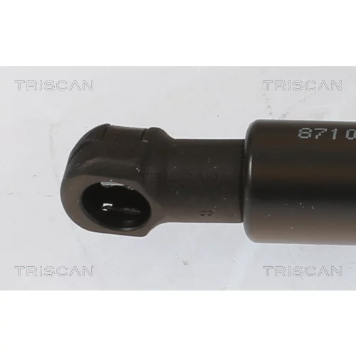 Pneumatická pružina, Batožinový/nákladný priestor 8710 40243 /TRISCAN/ - obr. 1