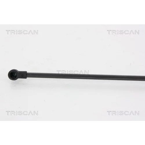 Pneumatická pružina, Batožinový/nákladný priestor 8710 66207 /TRISCAN/ - obr. 2