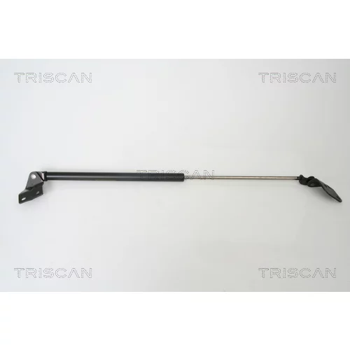 Pneumatická pružina, Batožinový/nákladný priestor TRISCAN 8710 69213