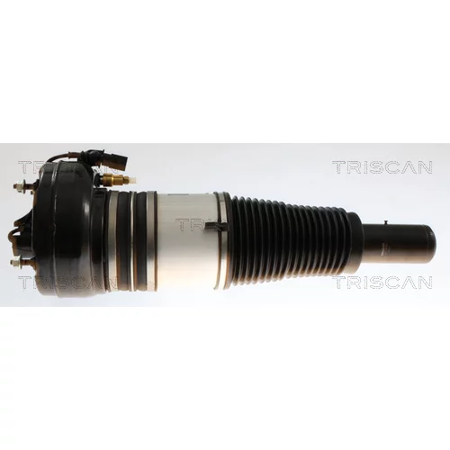 Vzduchový vak TRISCAN 8720 29105