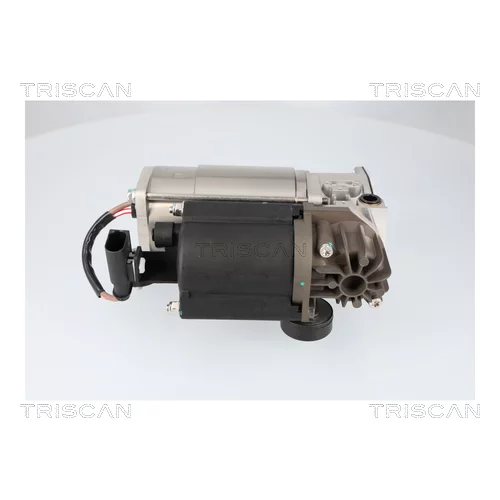 Kompresor pneumatického systému TRISCAN 8725 15001