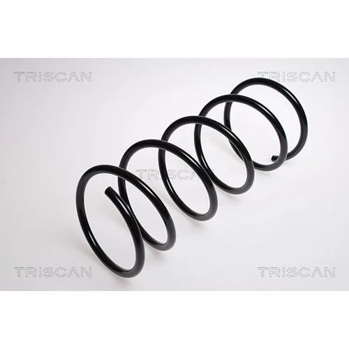 Pružina podvozku TRISCAN 8750 2873