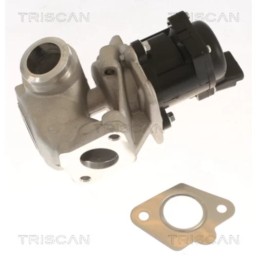 EGR ventil TRISCAN 8813 10018