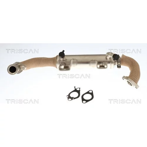 Chladič pre recirkuláciu plynov TRISCAN 8813 10059