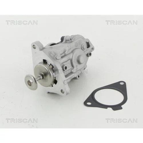EGR ventil 8813 11007 /TRISCAN/ - obr. 2
