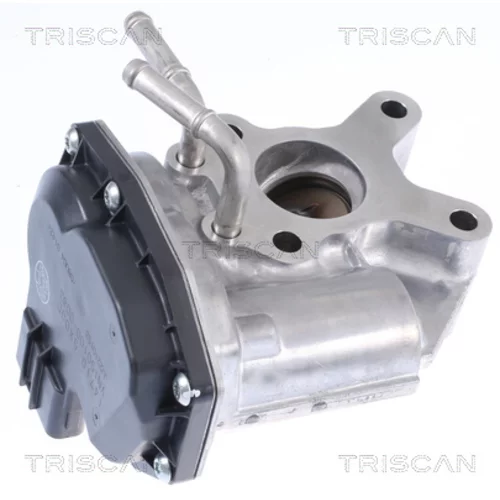 EGR ventil 8813 14015 /TRISCAN/ - obr. 2