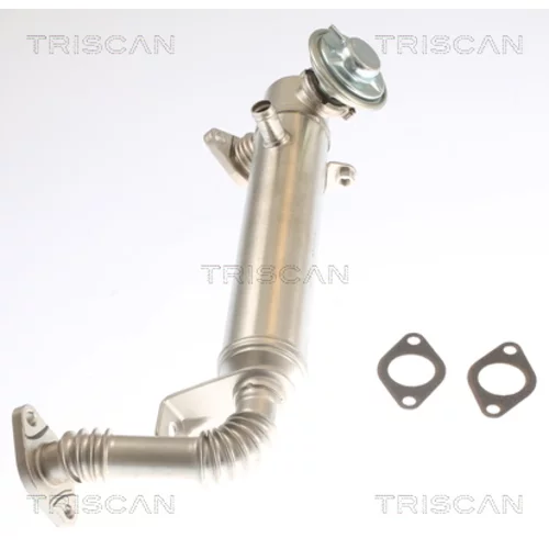 Chladič pre recirkuláciu plynov 8813 15075 /TRISCAN/ - obr. 1