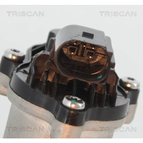 EGR ventil 8813 16151 /TRISCAN/ - obr. 1