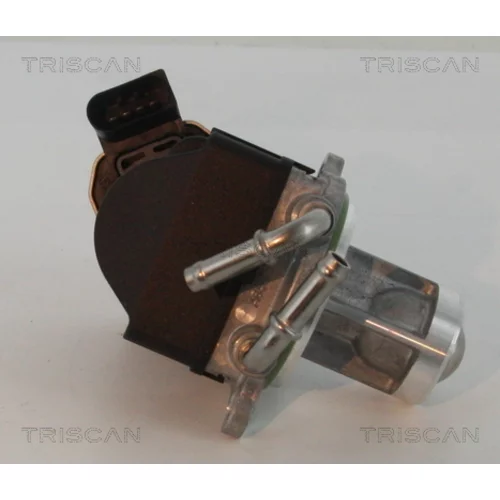 EGR ventil 8813 23002 /TRISCAN/ - obr. 1