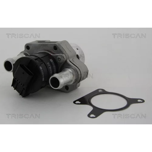EGR ventil 8813 23031 /TRISCAN/ - obr. 1