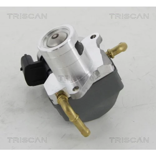 EGR ventil 8813 24046 /TRISCAN/ - obr. 2