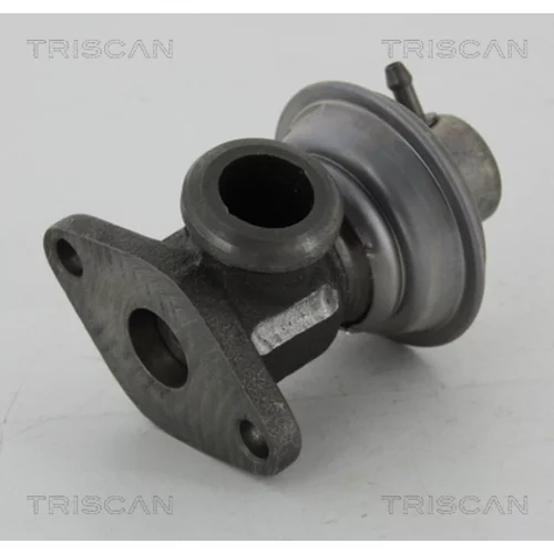 EGR ventil TRISCAN 8813 25011
