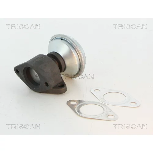 EGR ventil TRISCAN 8813 27100
