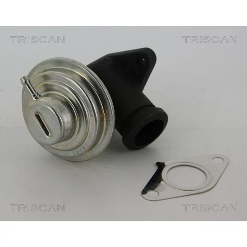 EGR ventil 8813 28042 /TRISCAN/