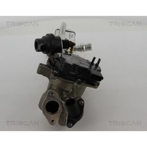 EGR ventil 8813 28044 /TRISCAN/ - obr. 3