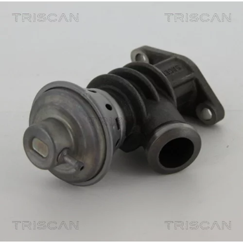 EGR ventil 8813 28100 /TRISCAN/ - obr. 1