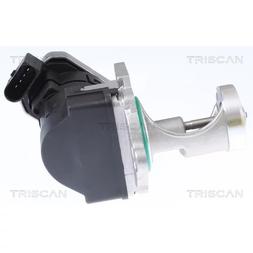 EGR ventil 8813 29043 /TRISCAN/ - obr. 1