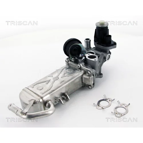 EGR ventil TRISCAN 8813 29102
