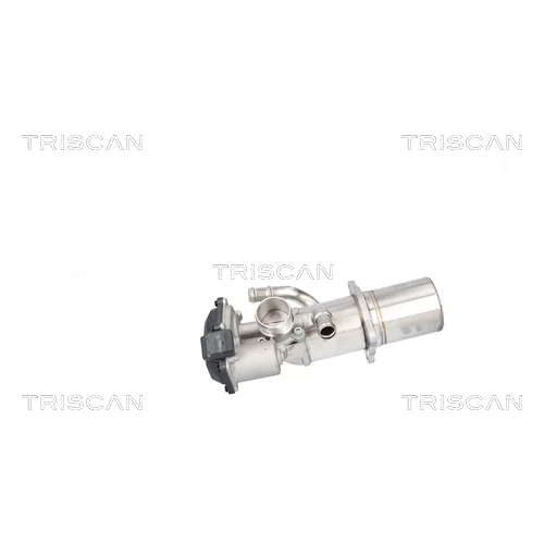 EGR ventil 8813 29117 /TRISCAN/ - obr. 3