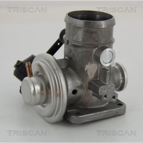 EGR ventil 8813 29300 /TRISCAN/ - obr. 1