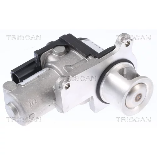 EGR ventil TRISCAN 8813 29339
