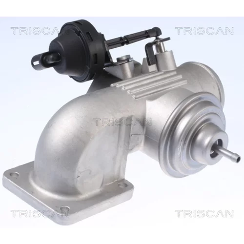 EGR ventil TRISCAN 8813 29342