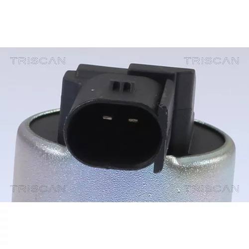 EGR ventil 8813 43024 /TRISCAN/ - obr. 1