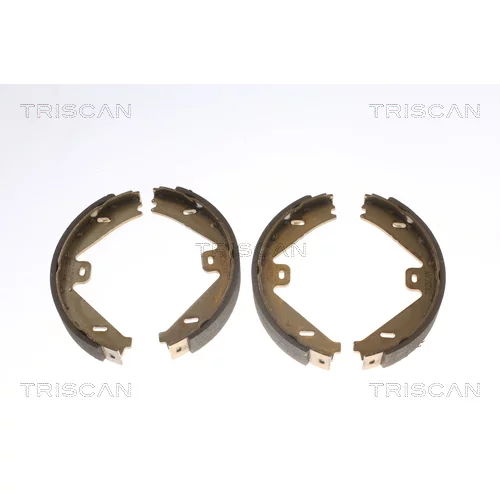 Sada brzdových čeľustí TRISCAN 8100 23033