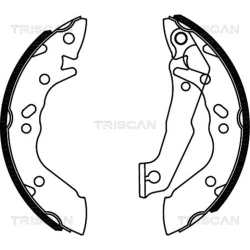 Sada brzdových čeľustí TRISCAN 8100 43560