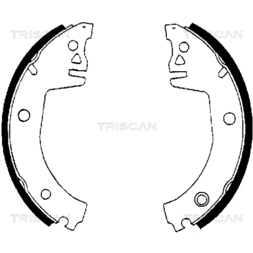 Sada brzdových čeľustí TRISCAN 8100 67514
