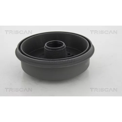 Brzdový bubon 8120 21202 /TRISCAN/ - obr. 1