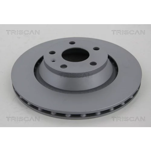 Brzdový kotúč TRISCAN 8120 291052C