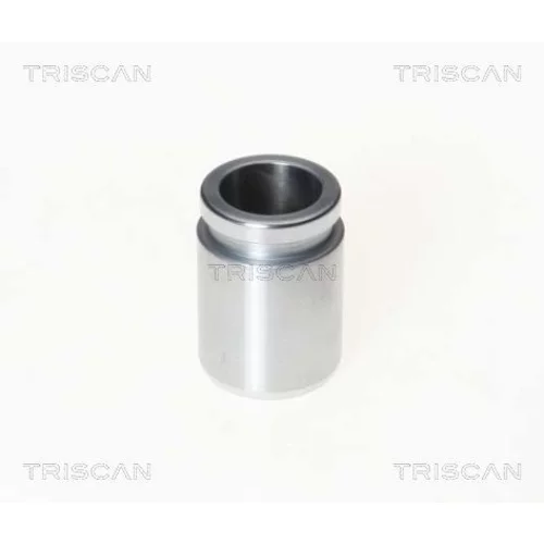 Piest brzdového strmeňa TRISCAN 8170 233203