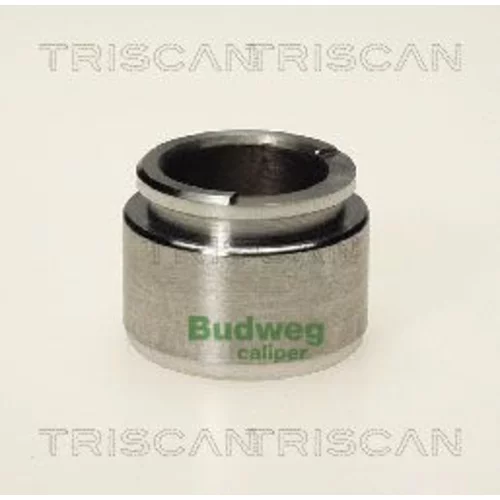 Piest brzdového strmeňa 8170 233502 /TRISCAN/