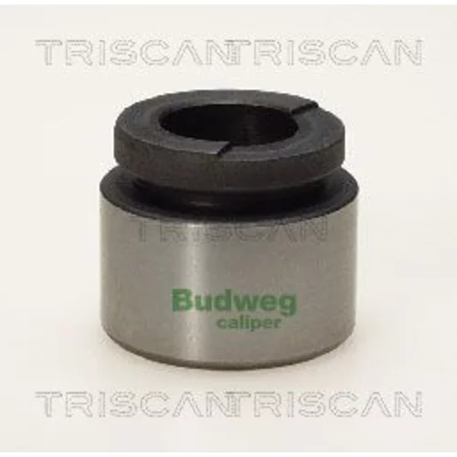 Piest brzdového strmeňa 8170 233624 /TRISCAN/